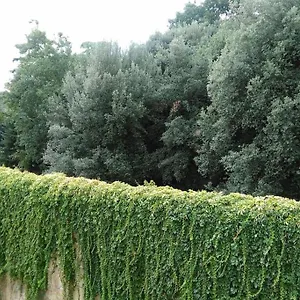 Un'angolo Incantato , Firenze Italia